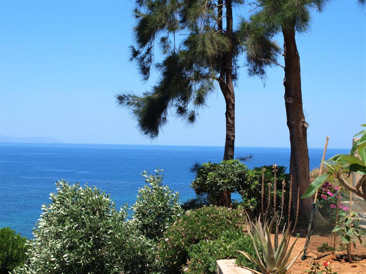 Emerald Apartment Halepa Hanya Dış mekan fotoğraf